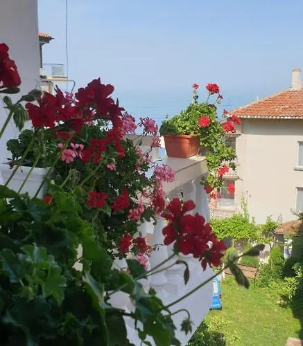 Primorsko Apartments * プリモルスコ