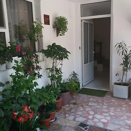 Daire Primorsko Apartments