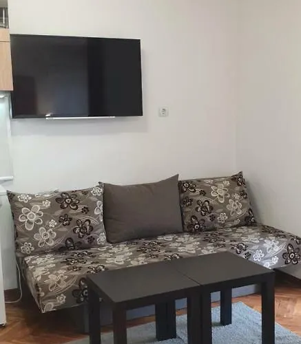 Primorsko Apartments 公寓 *