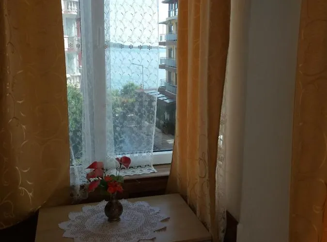 公寓 Primorsko Apartments